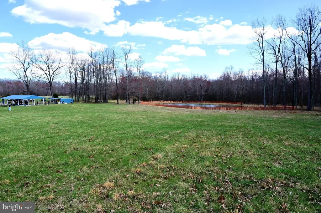 Picture 29
