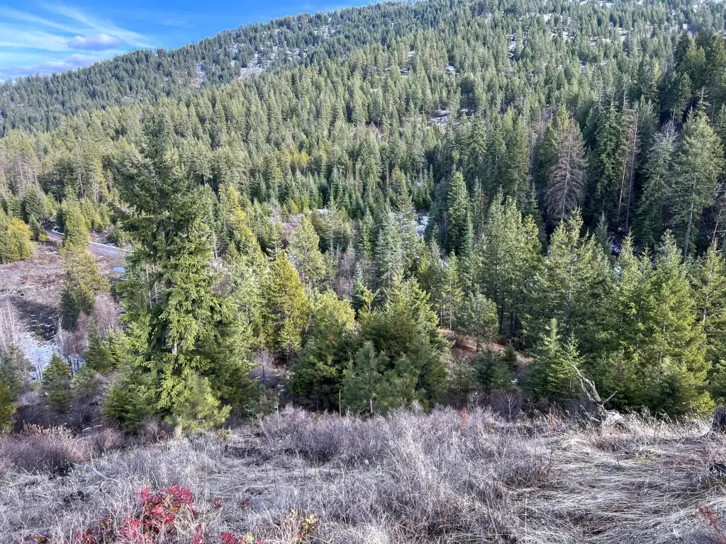 Picture 5