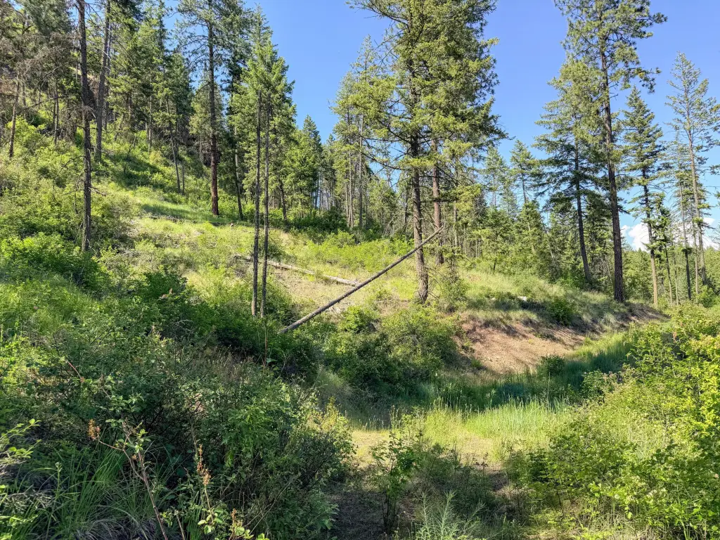 Picture 2