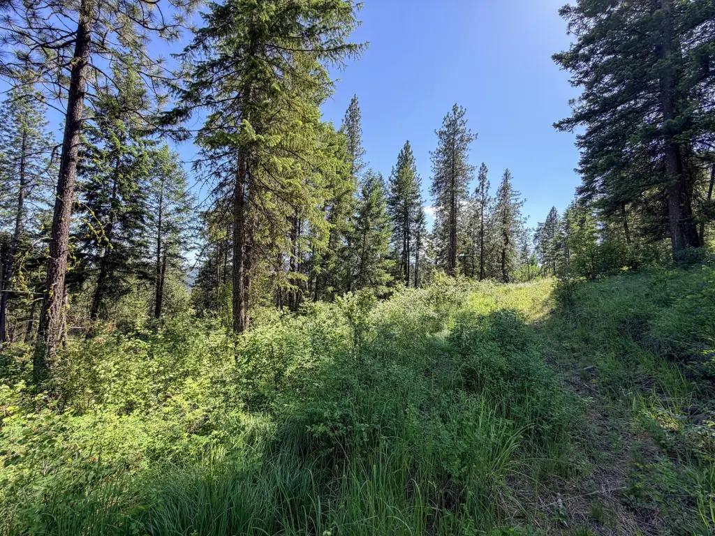 Picture 16
