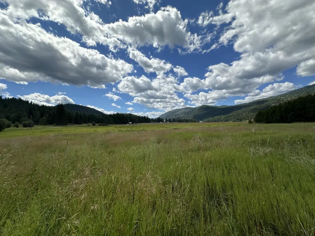 Picture 19
