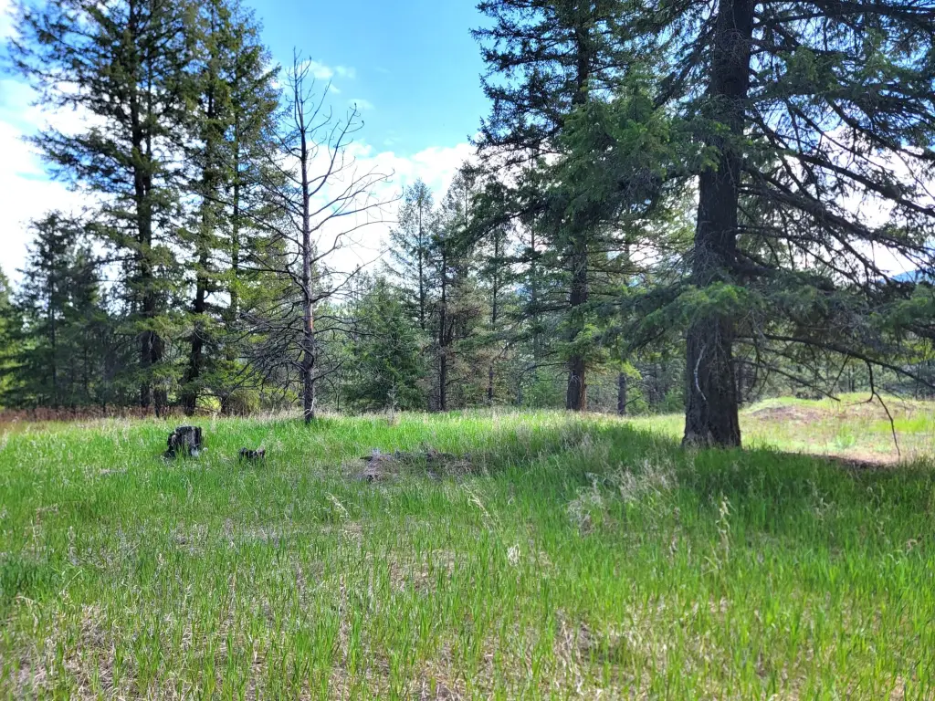 Picture 6