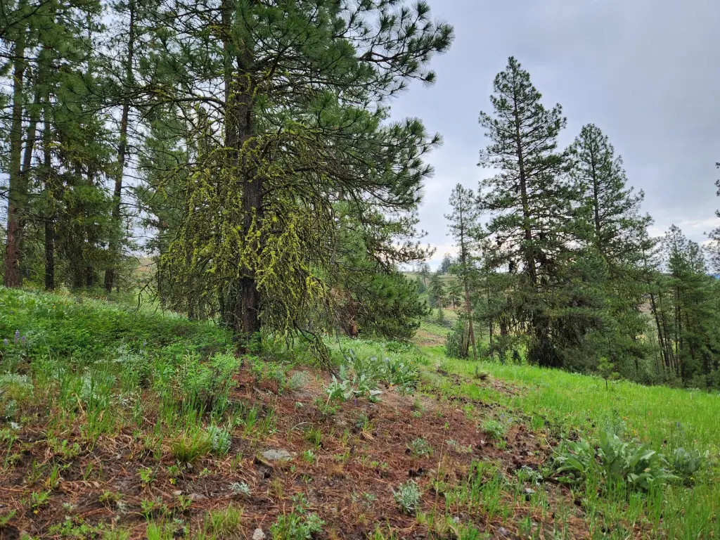 Picture 19