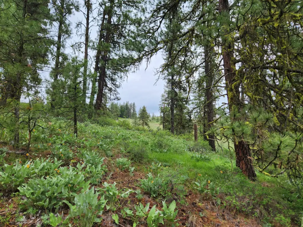 Picture 21