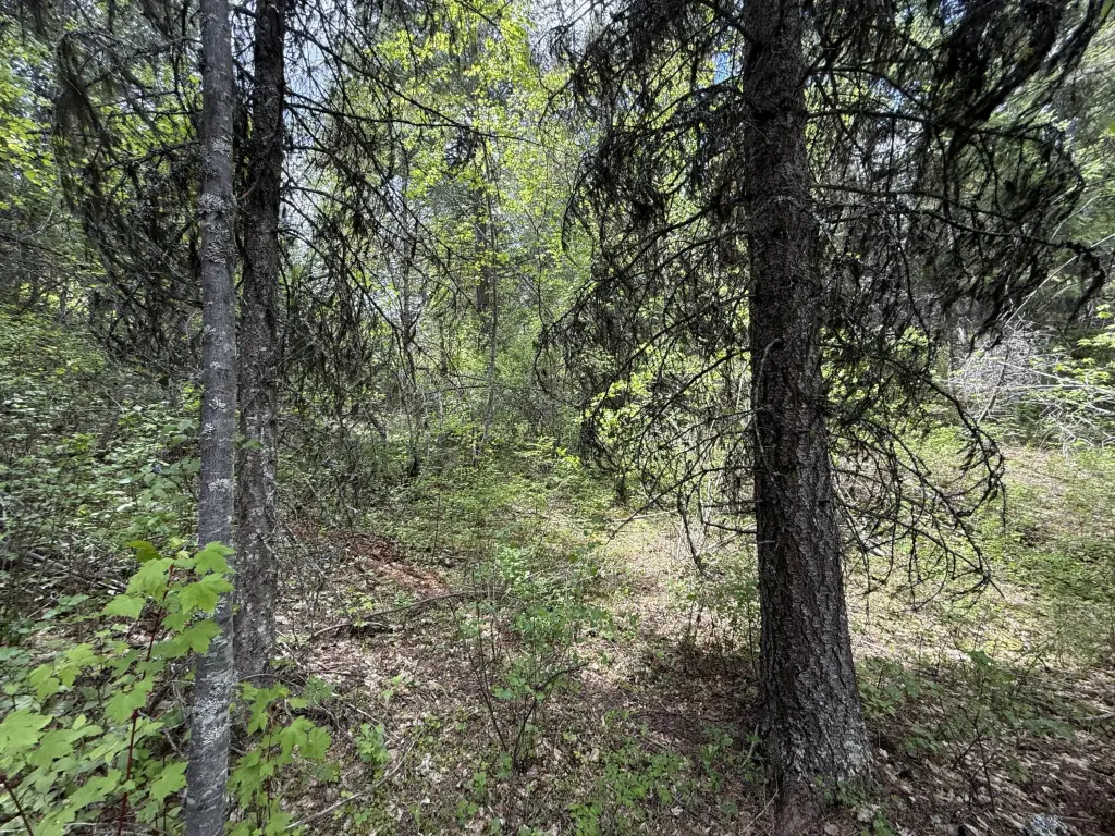 Picture 9