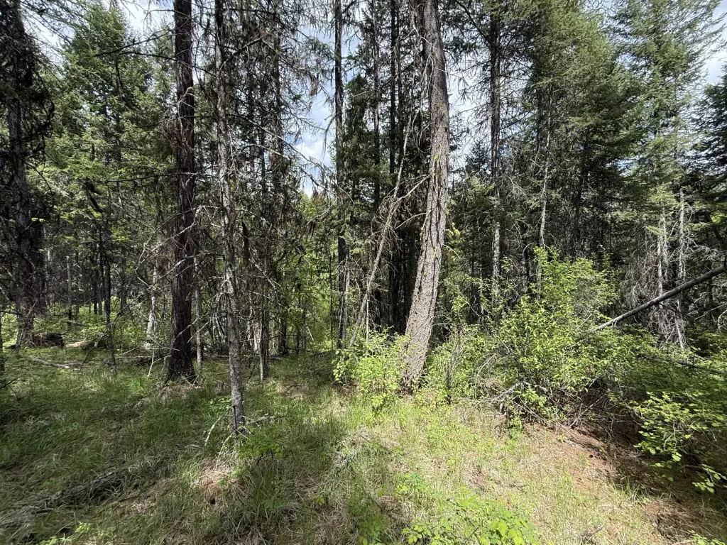 Picture 30