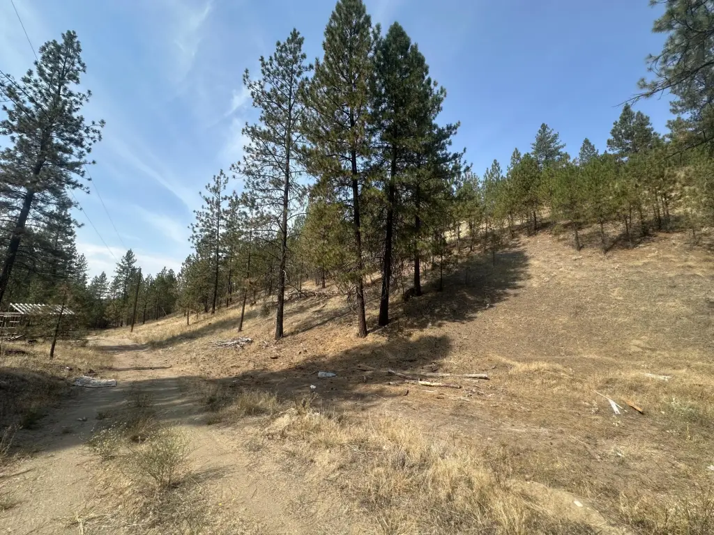 Picture 14