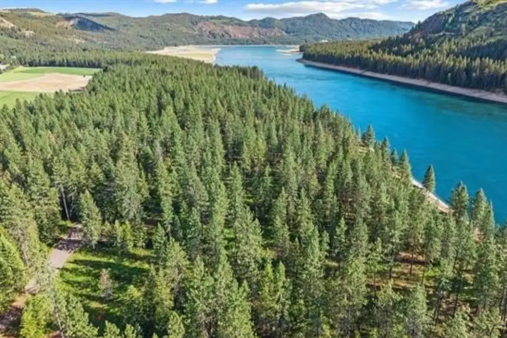 Picture 13
