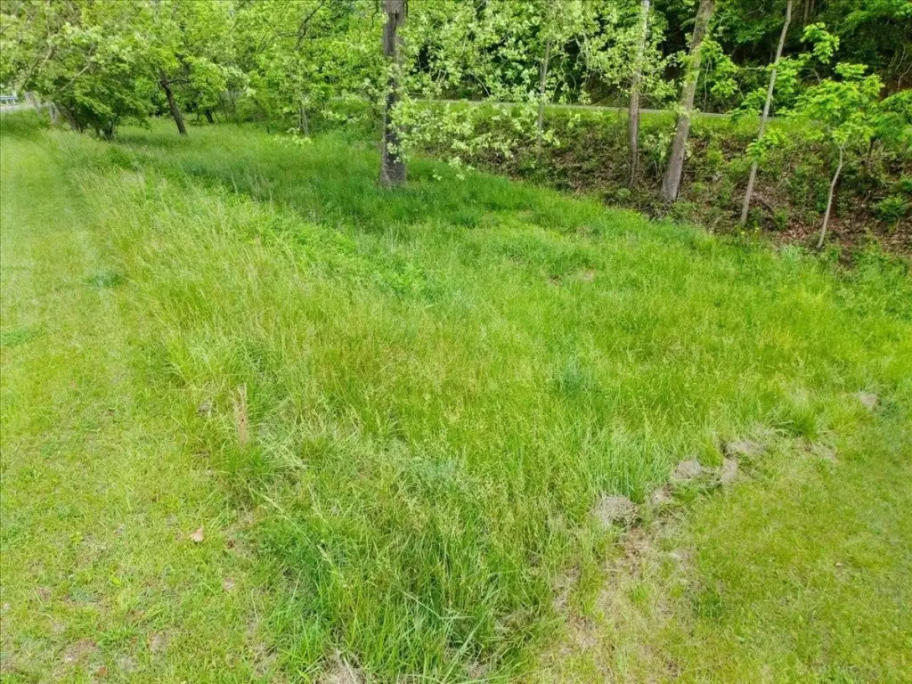 Picture 17
