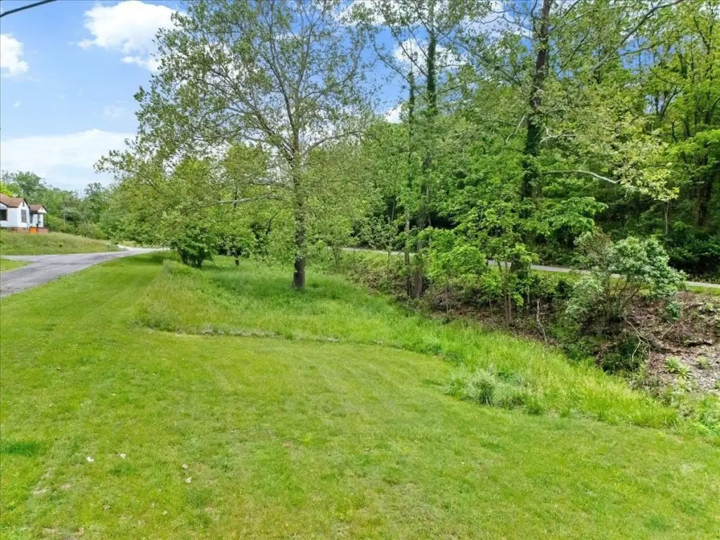 Picture 13