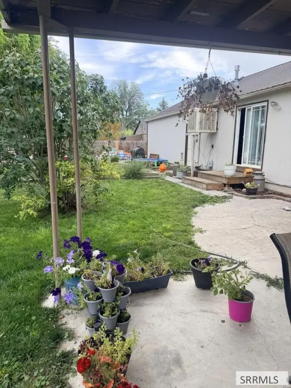 Picture 23