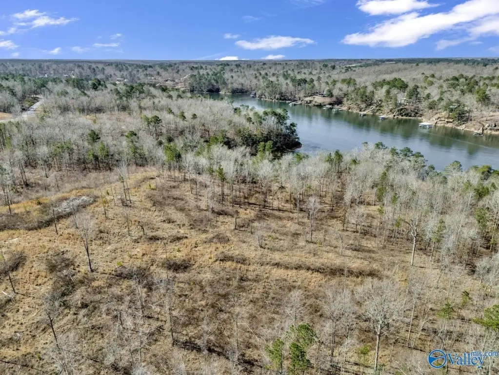 Picture 21