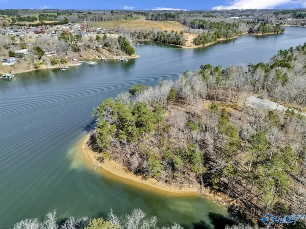 Picture 19