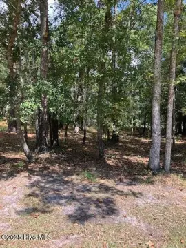 Residential Lot in River Sea