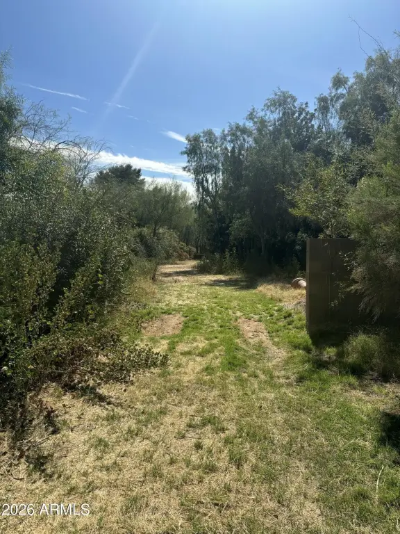 Picture 2