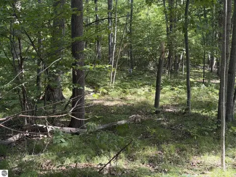 Wooded Recreational Land