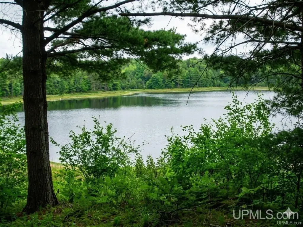 Picture 9
