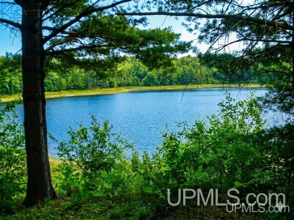 Picture 8