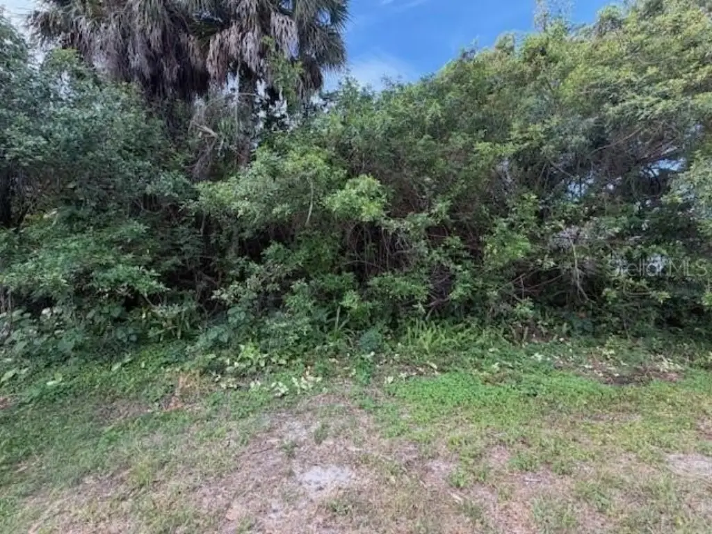 Picture 14