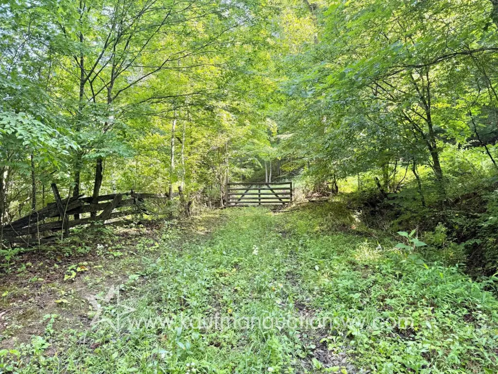 Picture 5