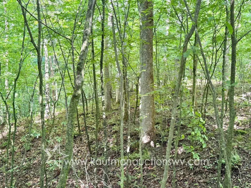 Picture 11
