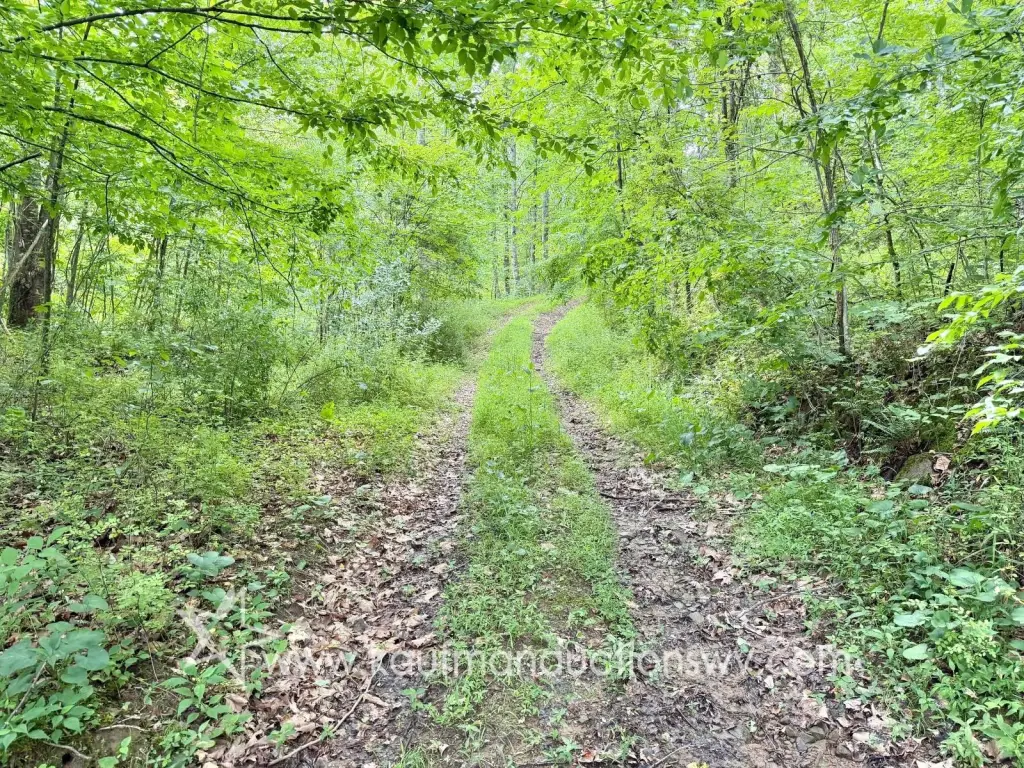 Picture 28