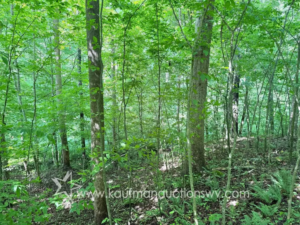 Picture 9