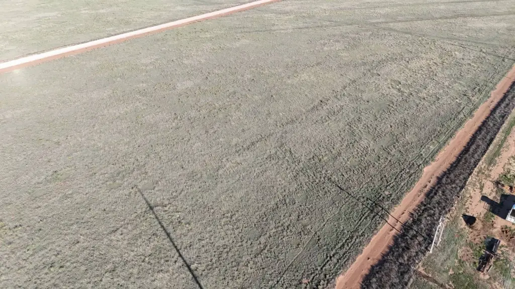Picture 5