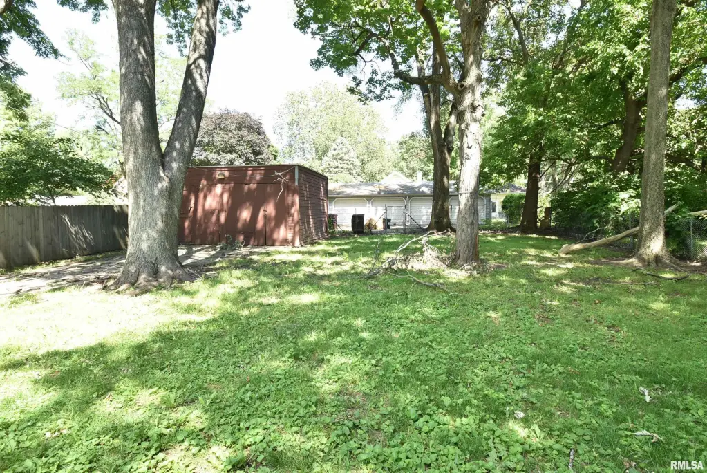 Picture 48