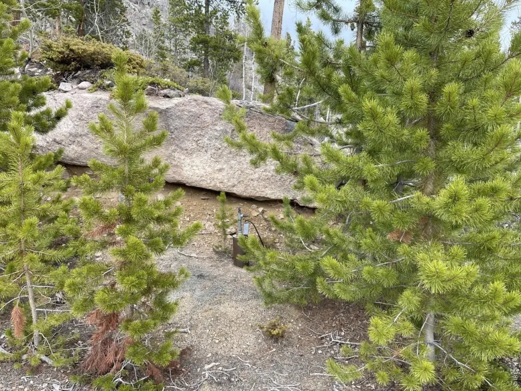 Picture 21