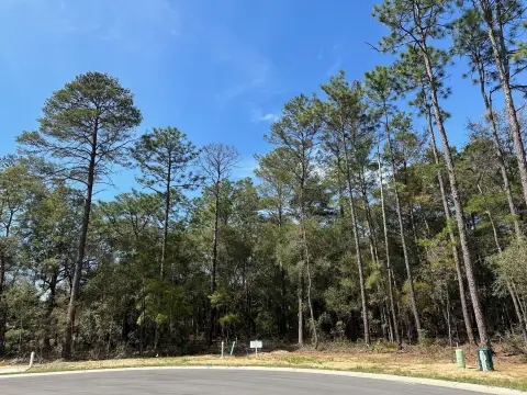 Residential Lot in Deer Moss Creek