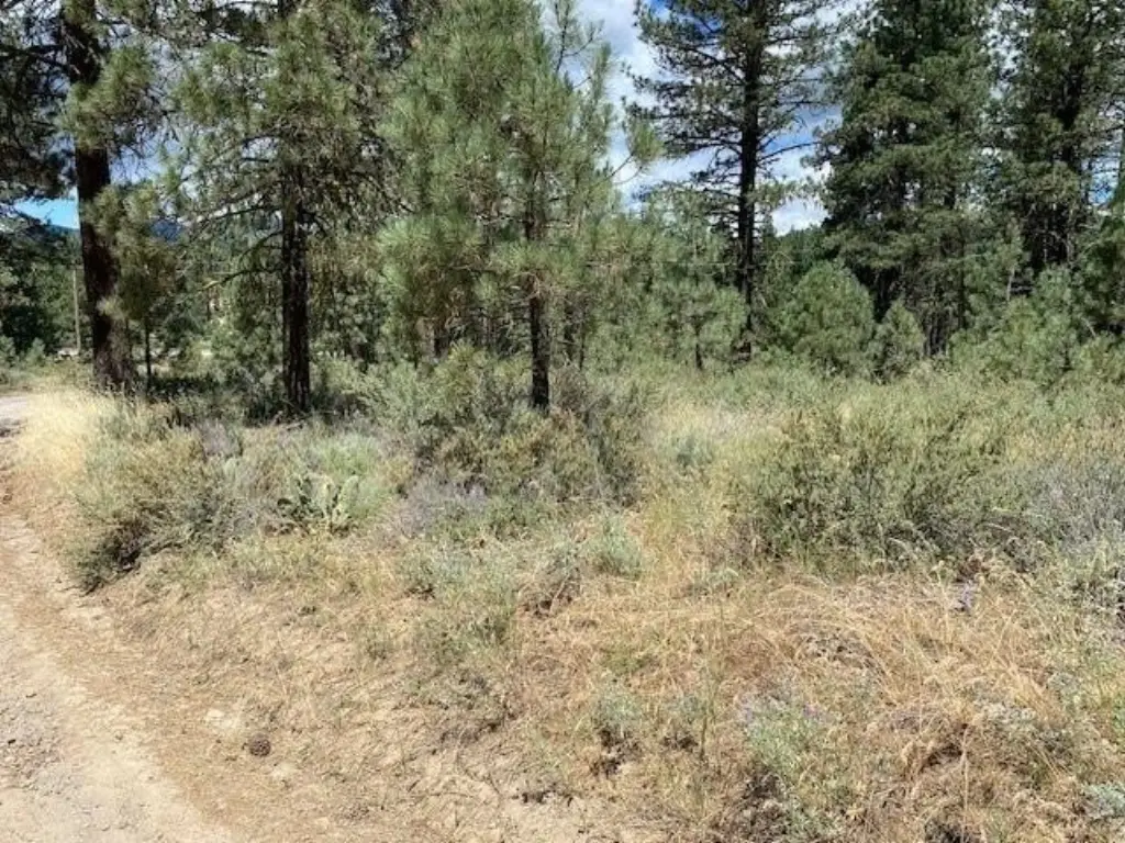 Picture 2