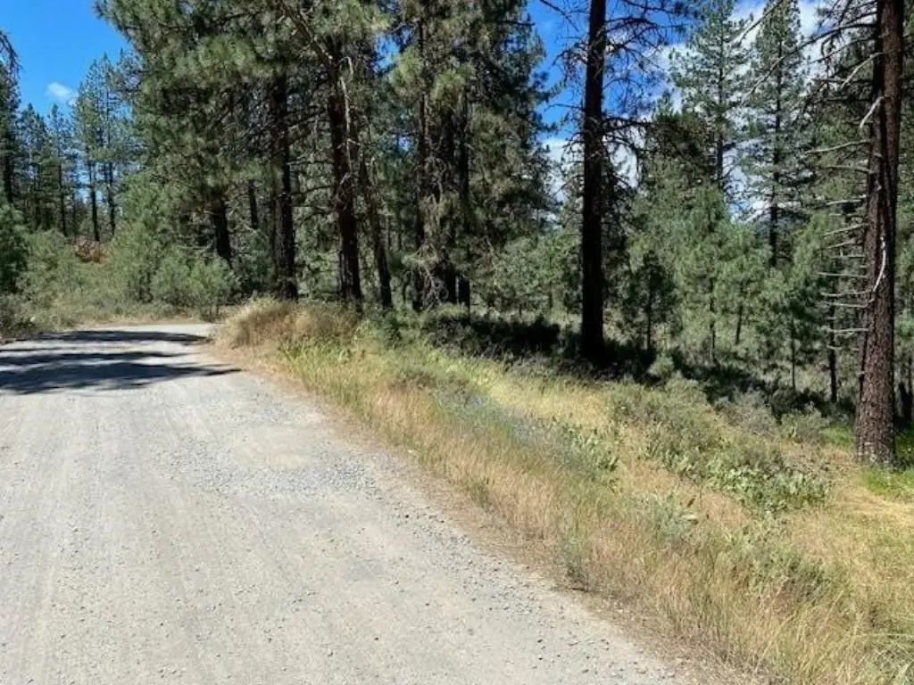 Picture 3