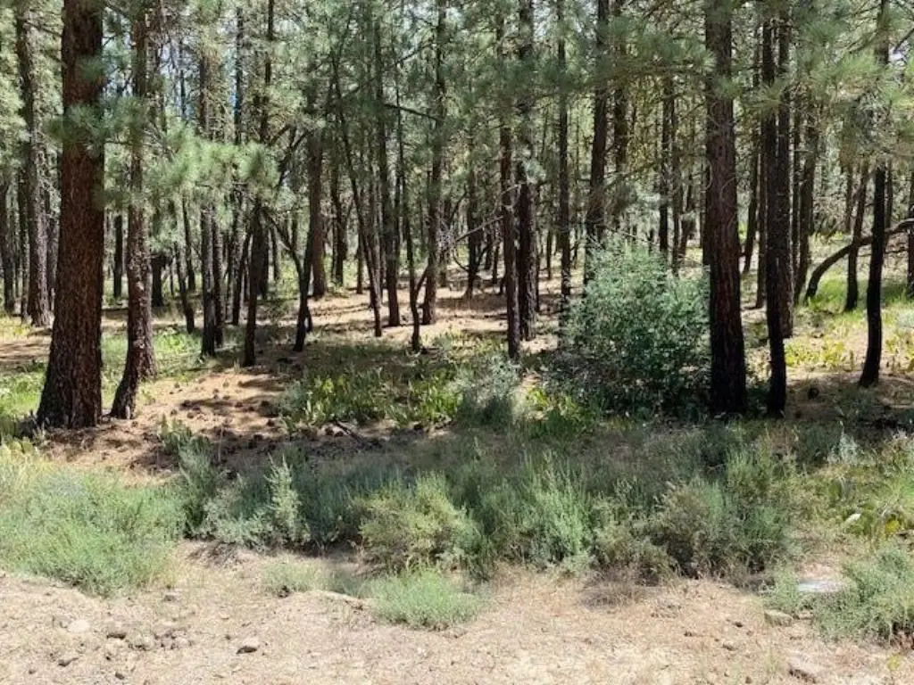 Picture 2