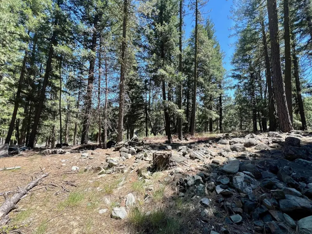 Picture 16