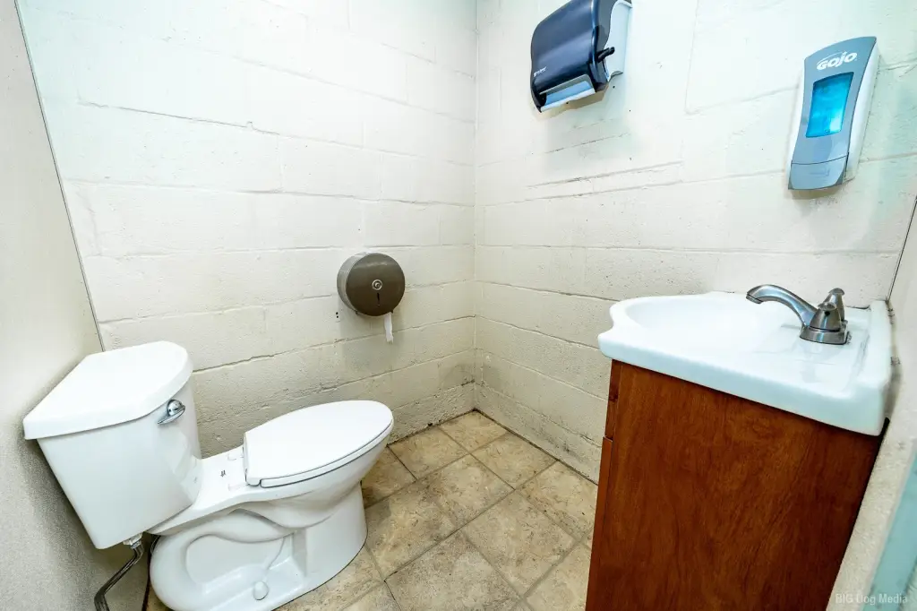 Picture 14