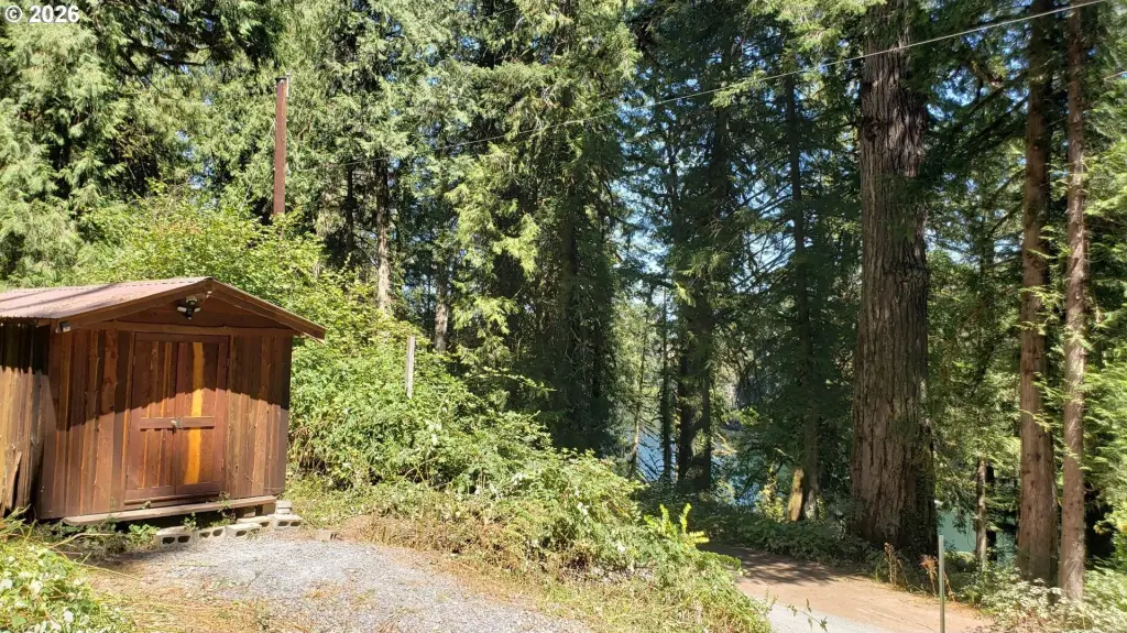 Picture 2