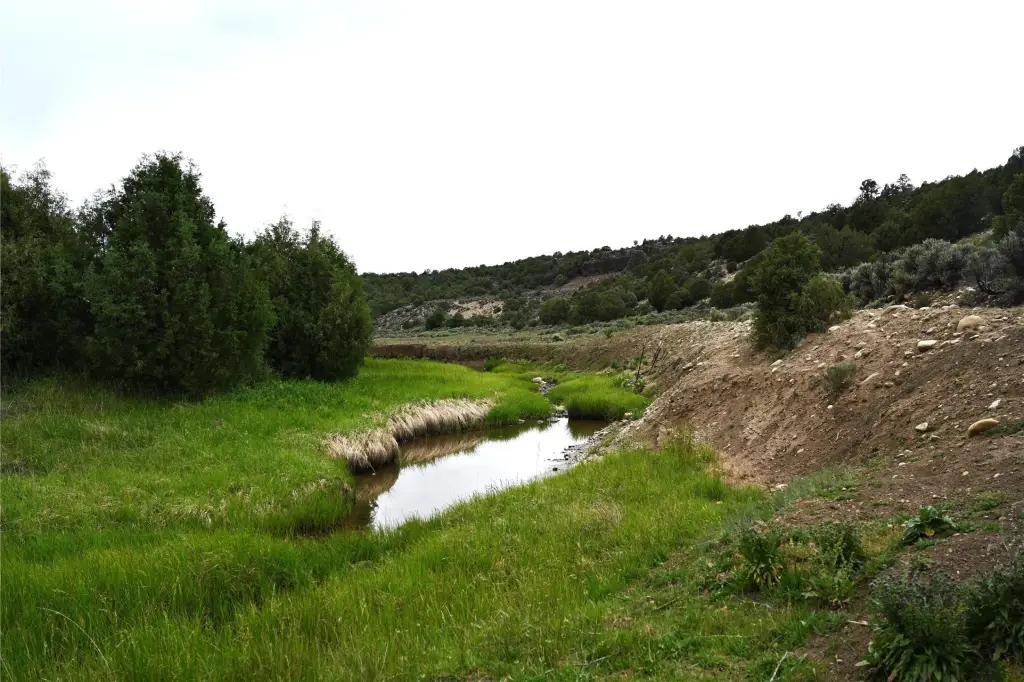 Picture 41
