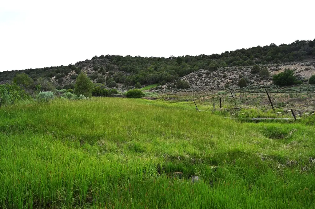 Picture 37