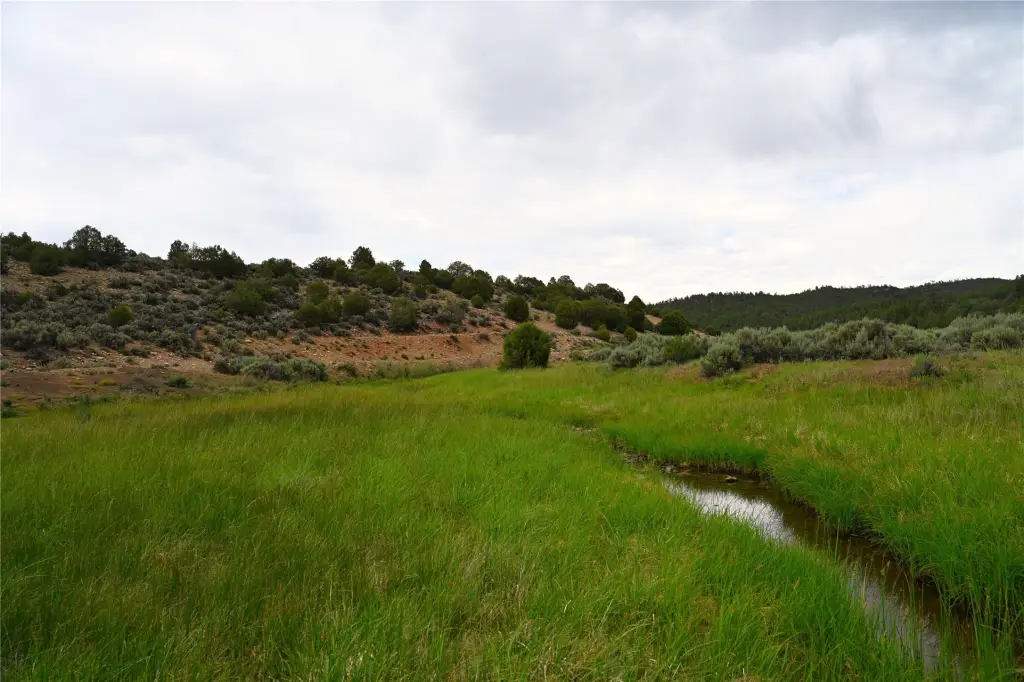 Picture 48