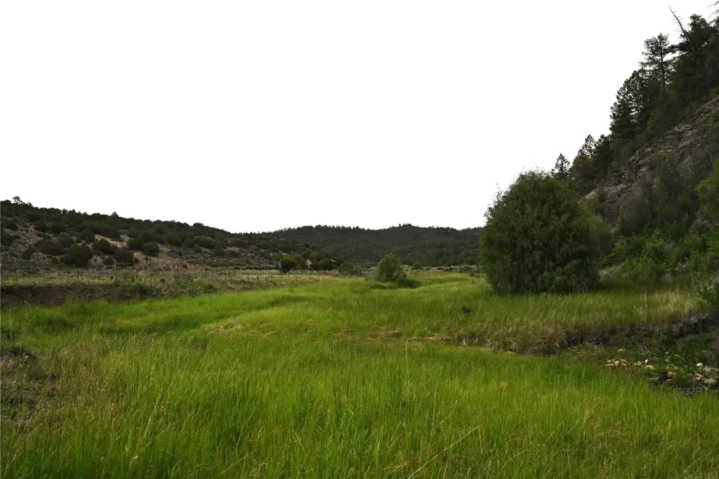 Picture 23