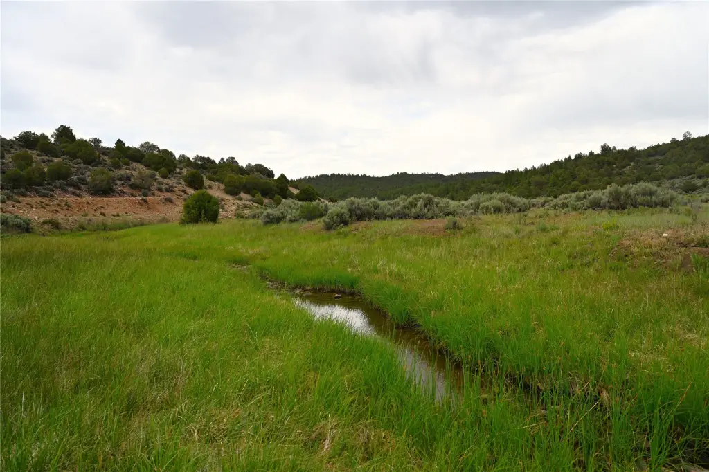 Picture 47