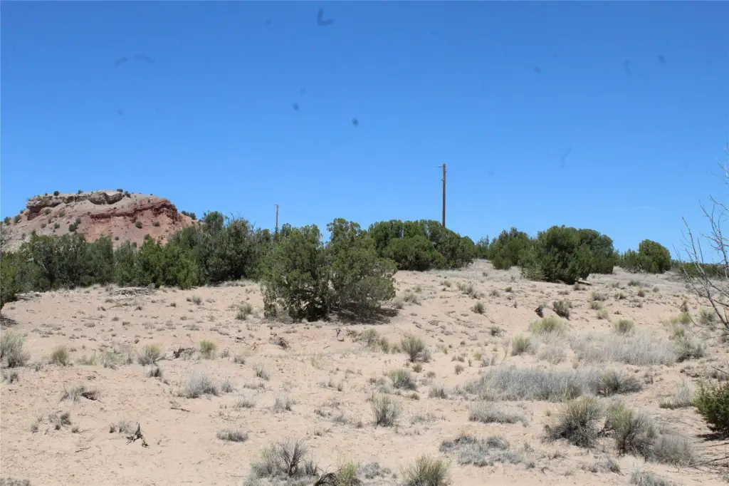 Picture 22