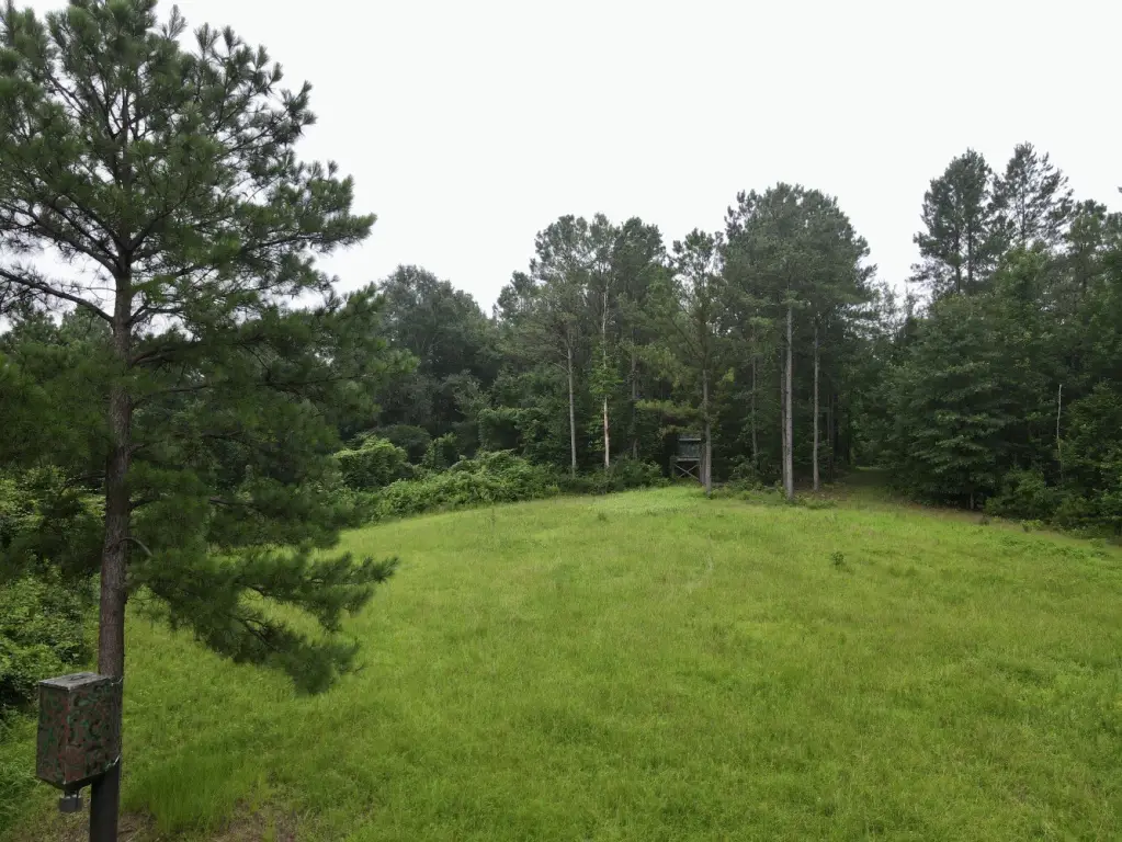 Picture 19