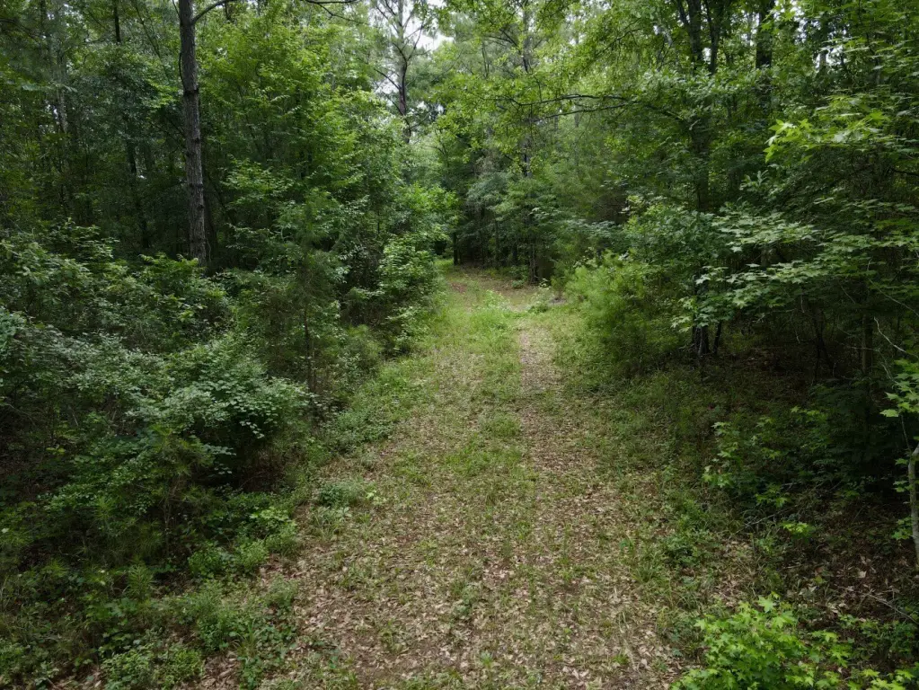 Picture 10