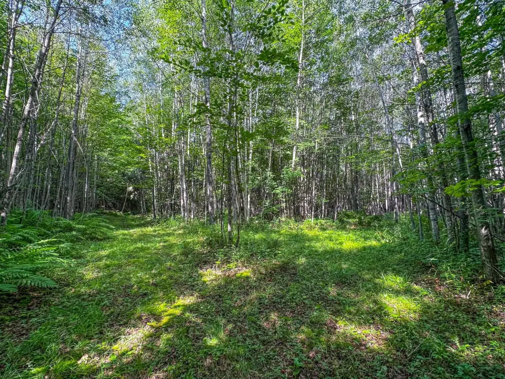 Picture 18