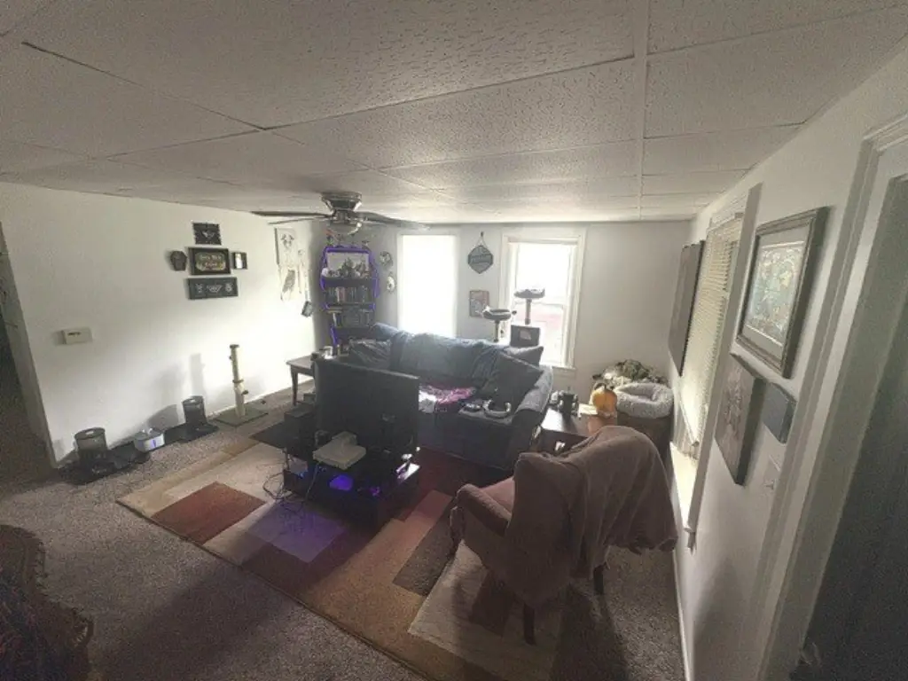 Picture 5