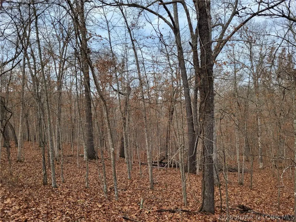 Picture 6