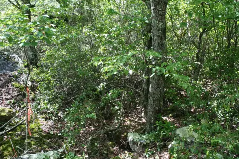 Mountain View Building Lots