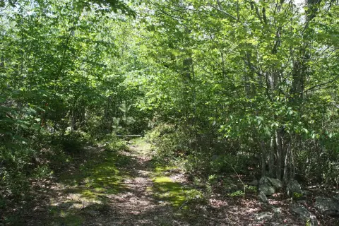 Residential Land in Highland County